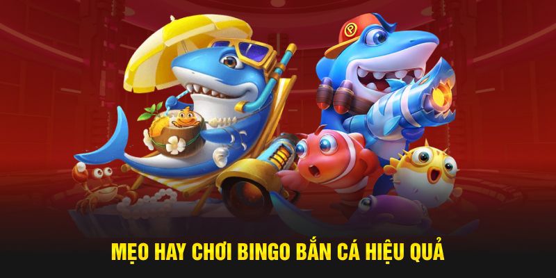 Mẹo hay chơi Bingo bắn cá hiệu quả