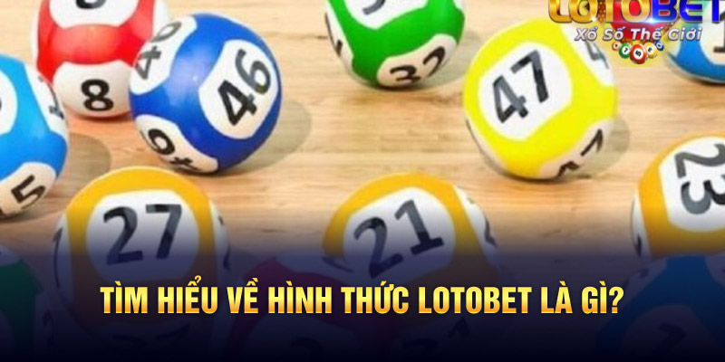 Tìm hiểu về hình thức Lotobet là gì? 